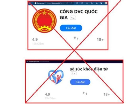 lua dvc.jpg