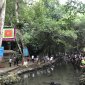 Hàng nghìn lượt khách đổ về Khu du lịch suối cá Cẩm Lương dịp nghỉ lễ 30/4 – 1/5/2023